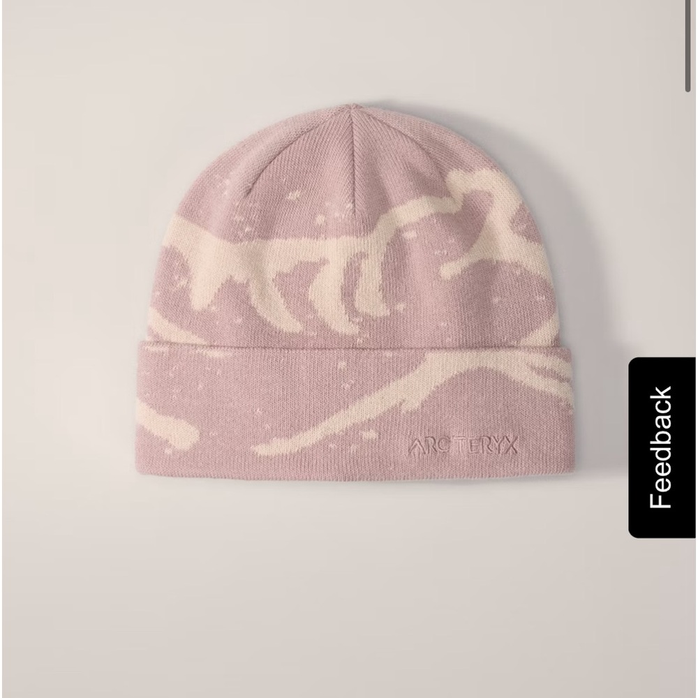 Arc’teryx winter Grotto Toque